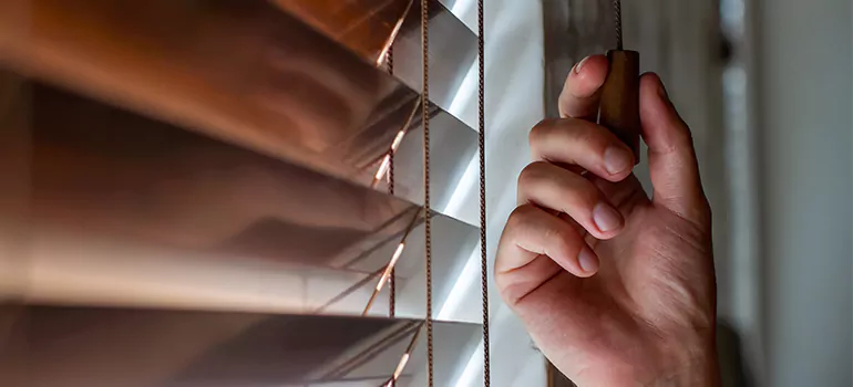 Double Roller Blinds in Altamonte Springs, FL