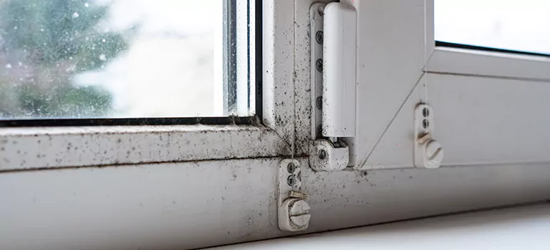 Altamonte Springs, FL