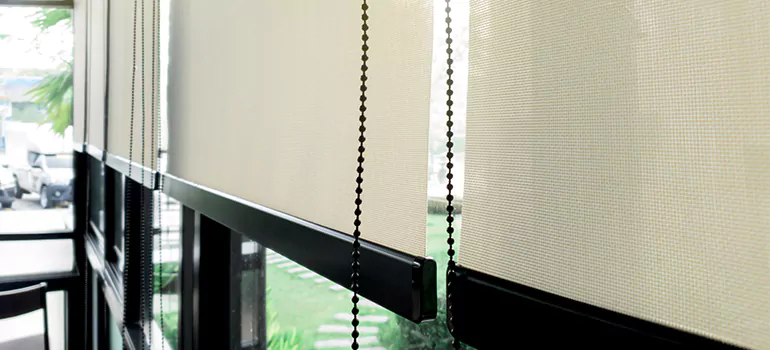 Blackout Window Shades in Altamonte Springs, FL