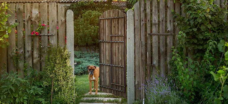 Winter Garden Garage Door Repair in Altamonte Springs,[location field=state]