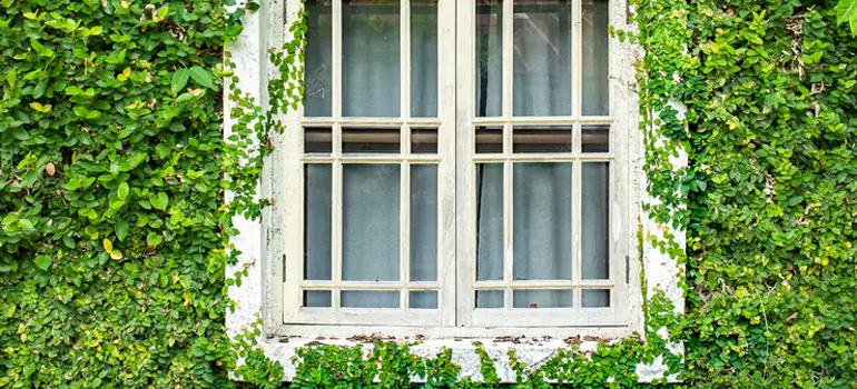 Garden Window Repair Near Me in Altamonte Springs, FL