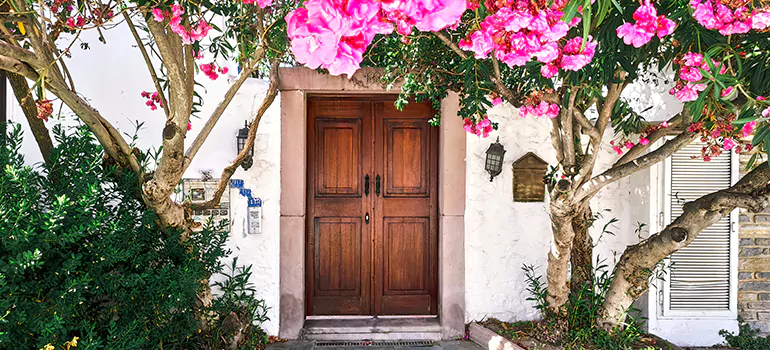 Traditional 4 Panel Internal Doors in Altamonte Springs, FL