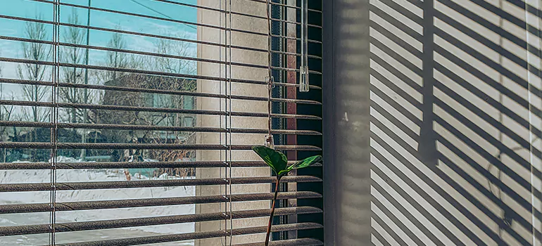 Commercial Window Blinds in Altamonte Springs, FL