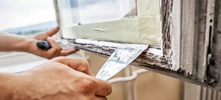 Custom Window Insulation Solutions in Altamonte Springs, FL