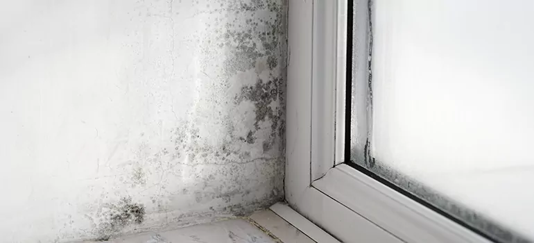 Altamonte Springs, FL