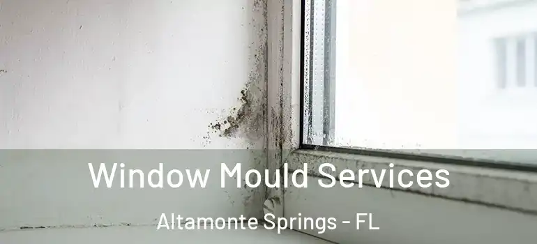 Window Mould Services Altamonte Springs - FL